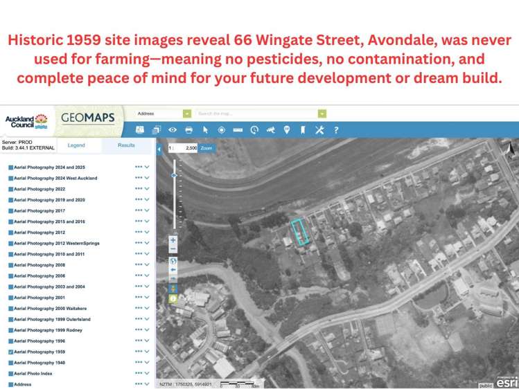 64 & 66 Wingate Street Avondale_9