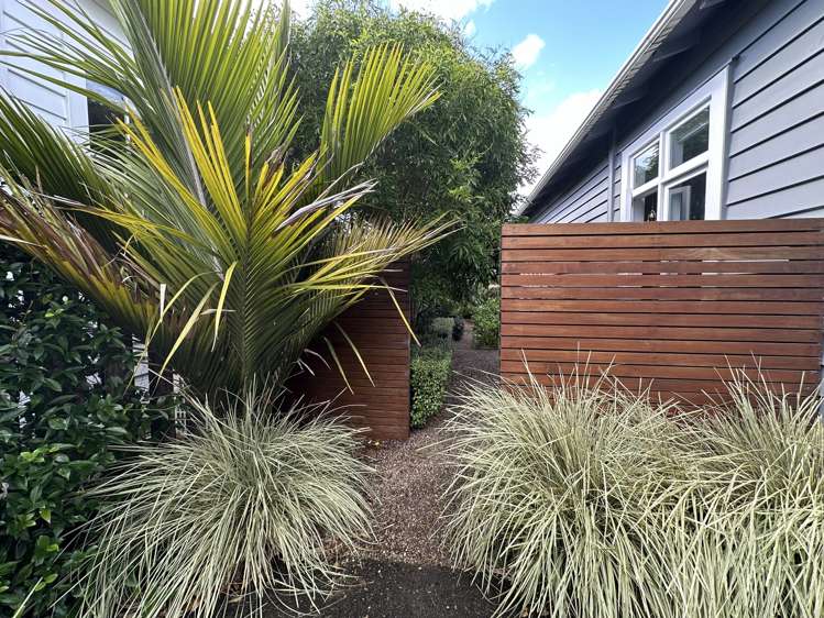 42 Pine Street Mount Eden_14