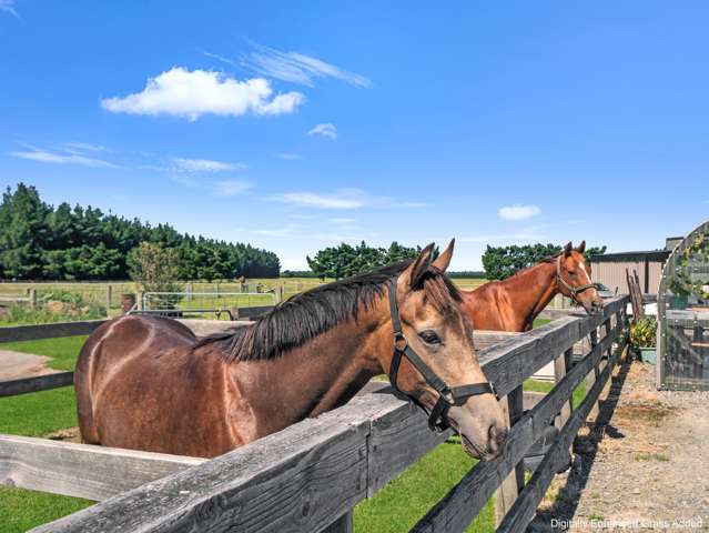 171 Mcphedrons Road Oxford_3