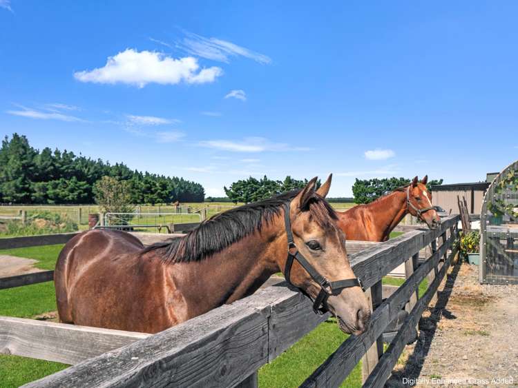 171 Mcphedrons Road Oxford_2