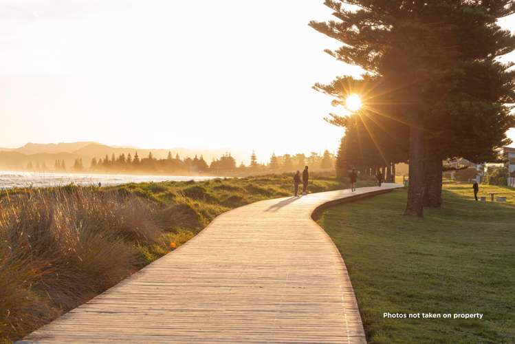 8 Salisbury Road Awapuni_35