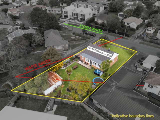 Enjoy Today, Develop Tomorrow - 739sqm Freehold