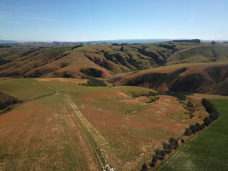 890 Mount Stuart Road Balclutha_17