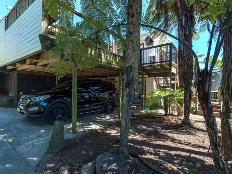 61 Springfield Road Springfield_17