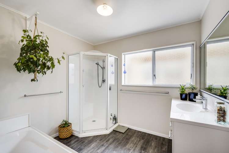 173 Avondale Road Greenmeadows_8