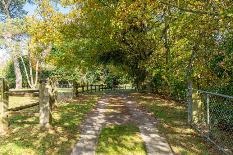 175 Forest Road Oruanui_36