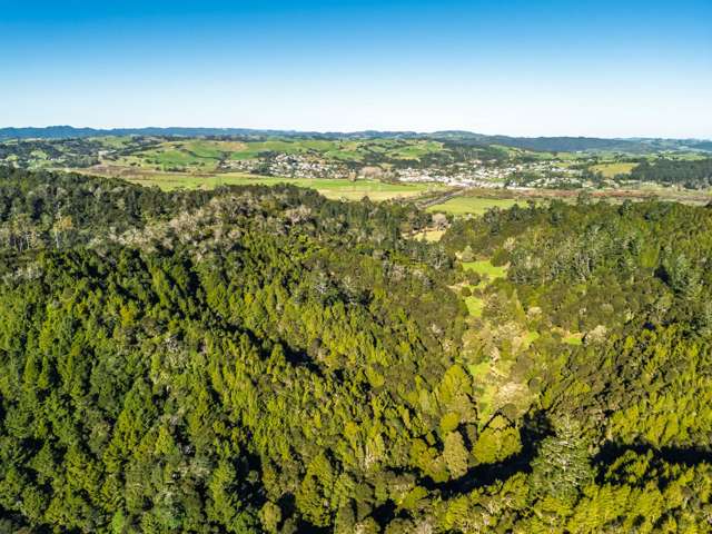 Whangae Road Kawakawa_2