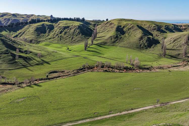 717k Puketitiri Road Puketapu_13