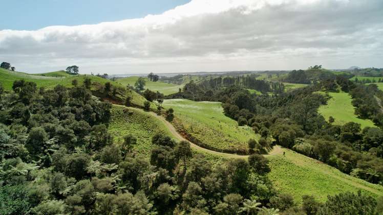 717 Wright Road Aongatete_16