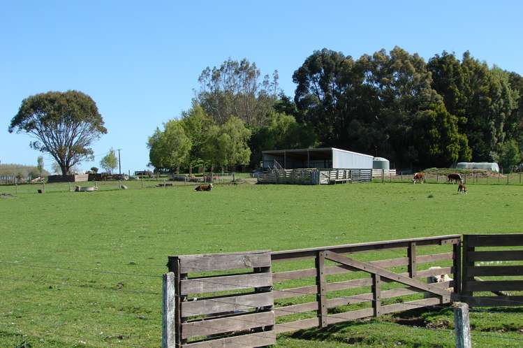 488 Woodlands Road Rimu_16