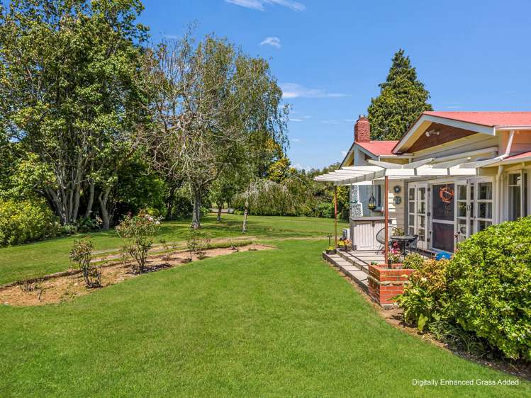 30 Colebrook Road Edgecumbe_8