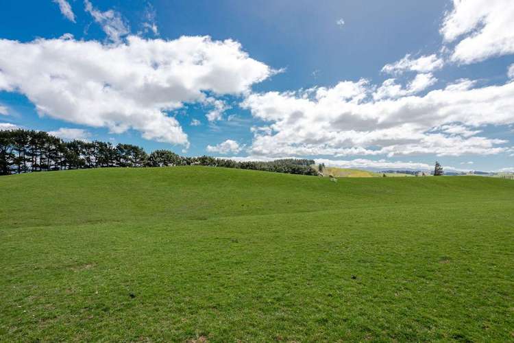 680 Cowper Road Dannevirke_13