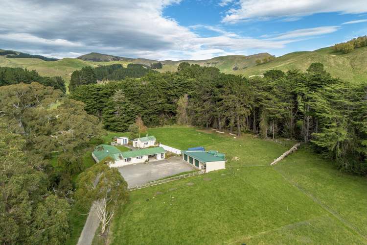 467 Waitahora Valley Road Dannevirke_42