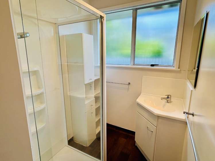 165 Jollie Street 1851_6