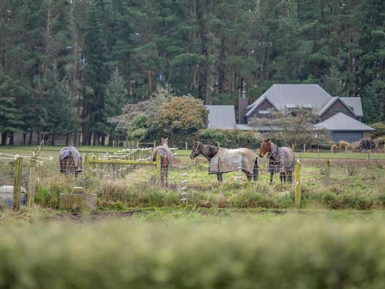 102 Boundary Road Swannanoa_32