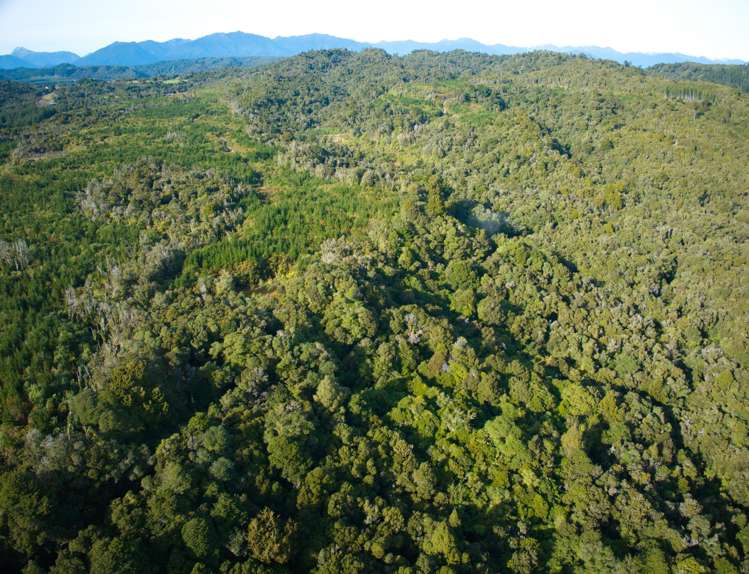 330 Rutherglen Road Marsden_37