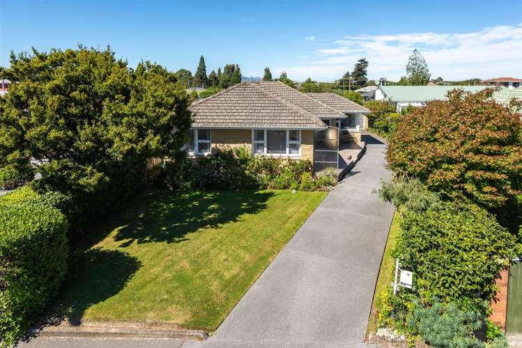 29 Rossiter Avenue Redwood_16