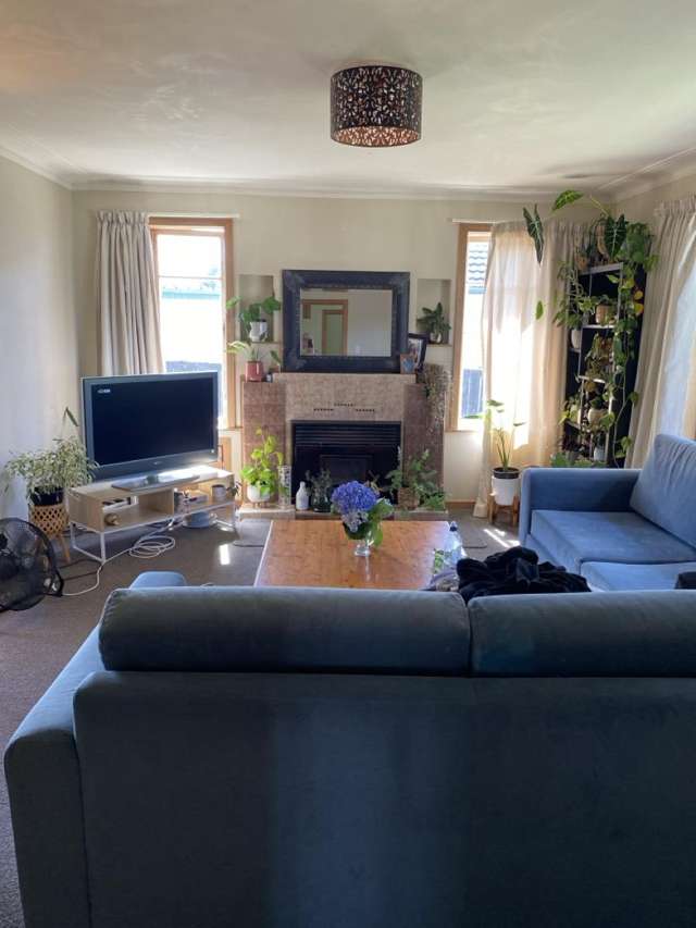 94 Chadwick Road Greerton_3