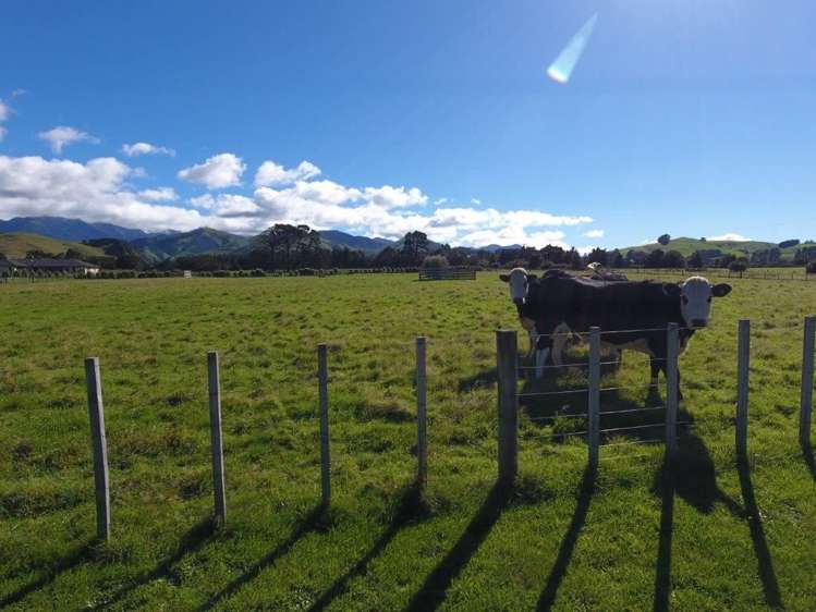 881e Norfolk Road Upper Plain_8