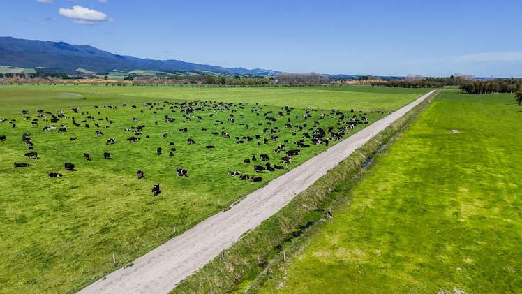 1807 Kahutara Road Kahutara_8