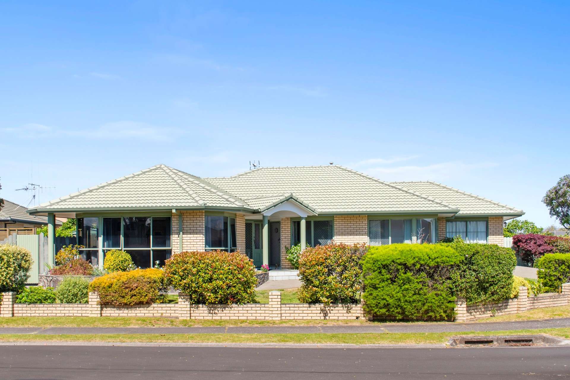 6 Abelia Avenue Mount Maunganui_0