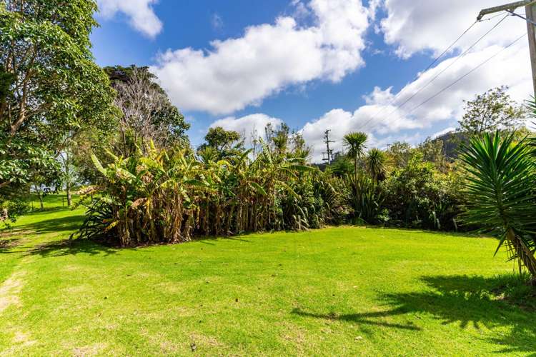 167 Summer Road Tinopai_29