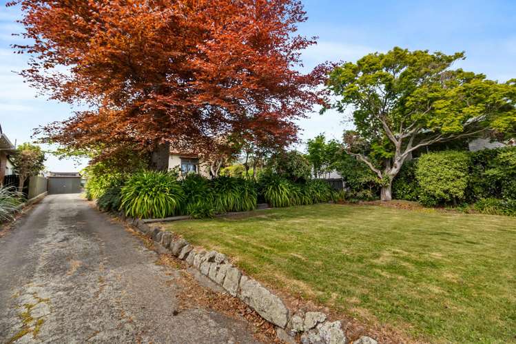 10 White Street Waimataitai_22