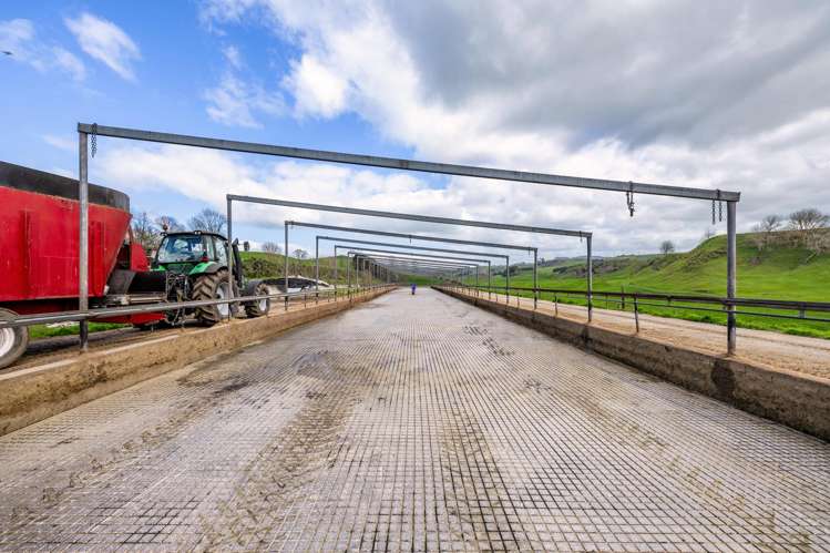 578 Waimanu Road Wharepapa South_24