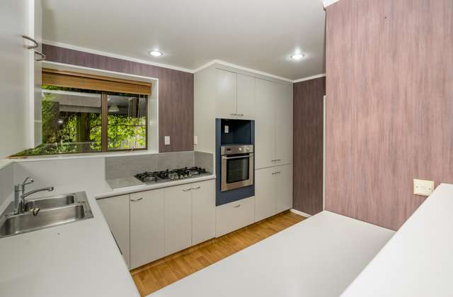 71 Macarthur Street Levin_2