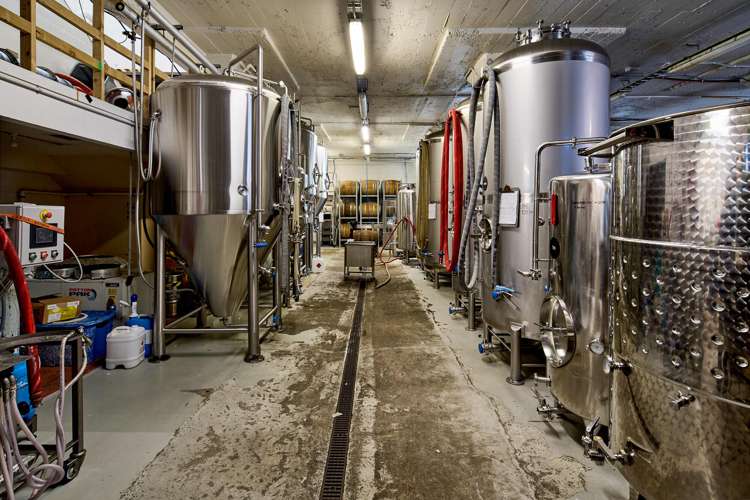 7 Marion Street Te Aro_17