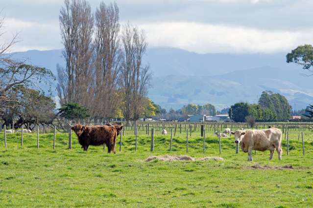 172 Manaia Road Masterton_1