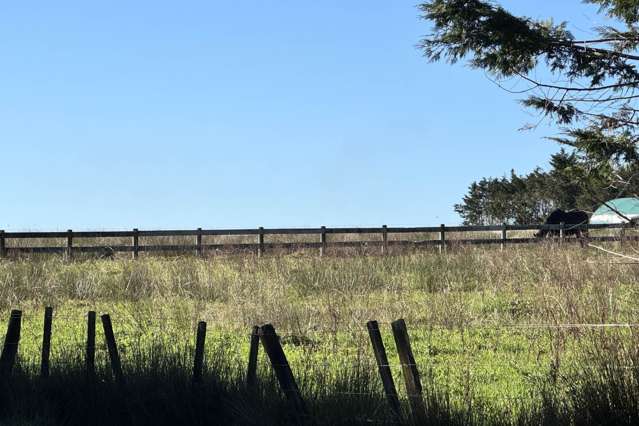 Lot4 Blackbridge Road Dairy Flat_3