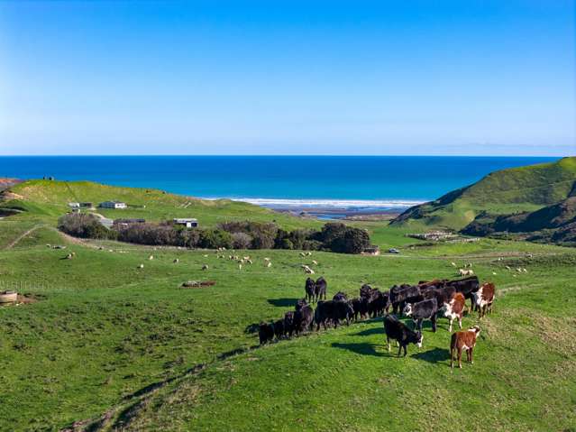 767 Te Akau Coast Road Te Akau_2