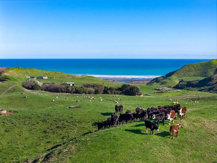 767 Te Akau Coast Road Te Akau_2