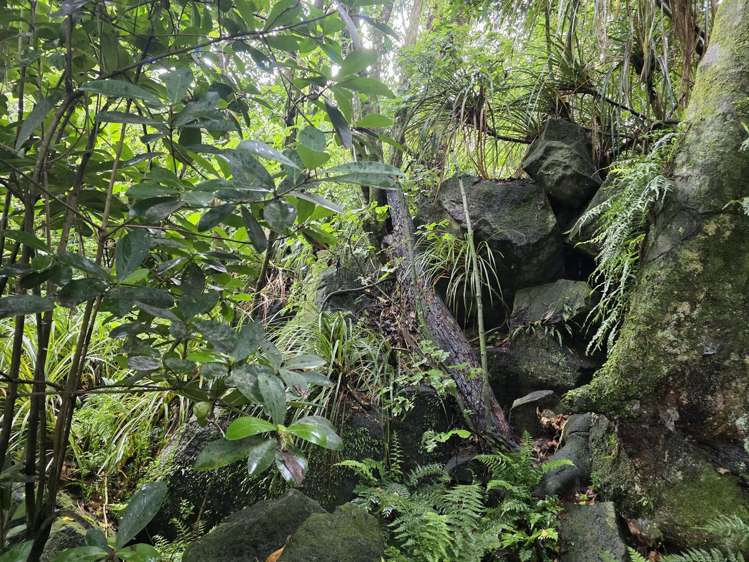 00 Waitaheke Road Ohaeawai_11