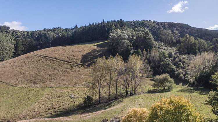 967 Aniseed Valley Road Aniseed Valley_19