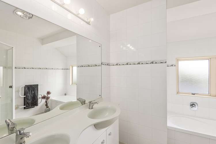 14c Cradock Street Avondale_4