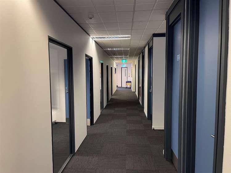 1st Floor/25 Bower Street Napier South_3