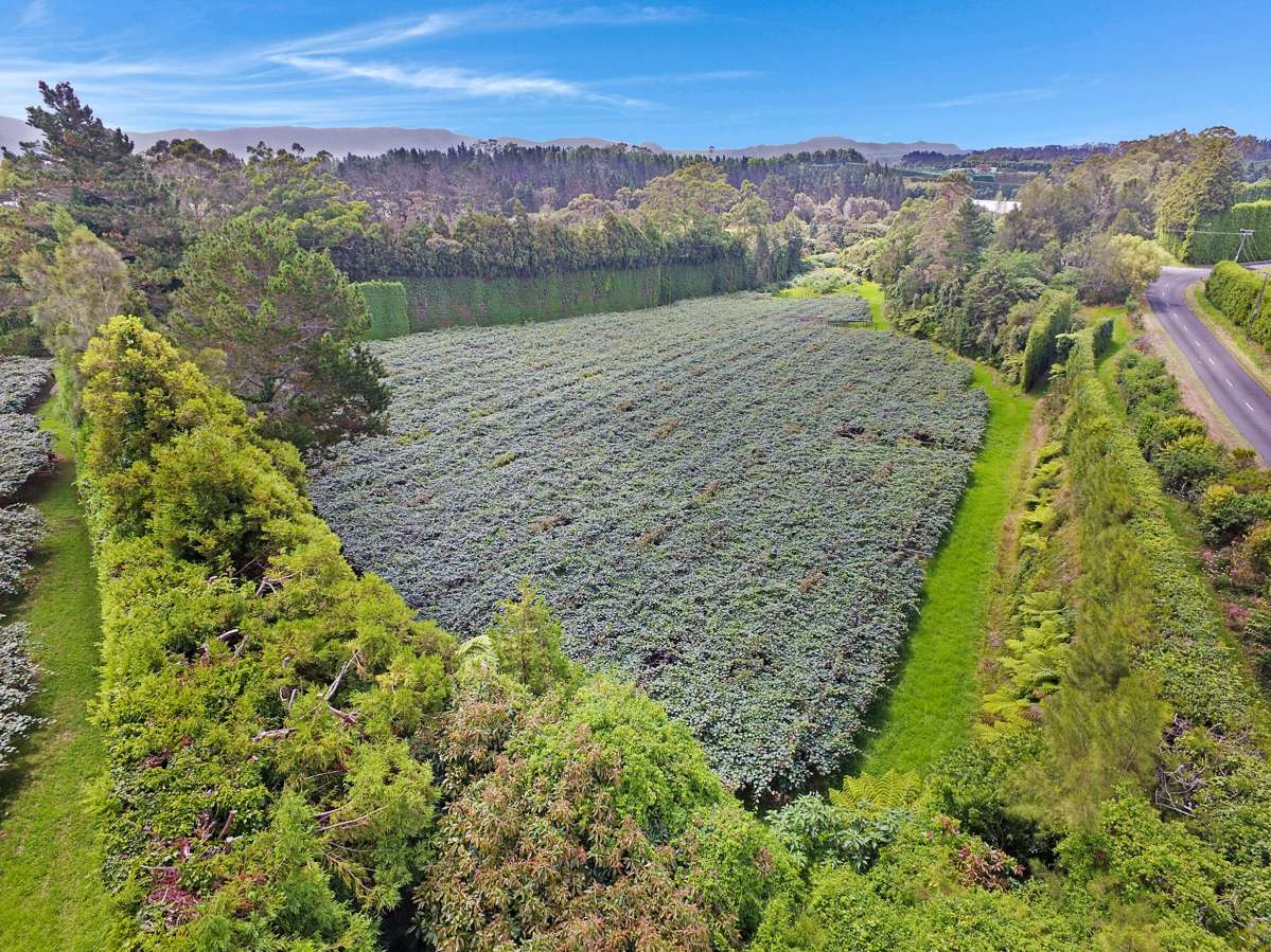 186 Lockington Road_5