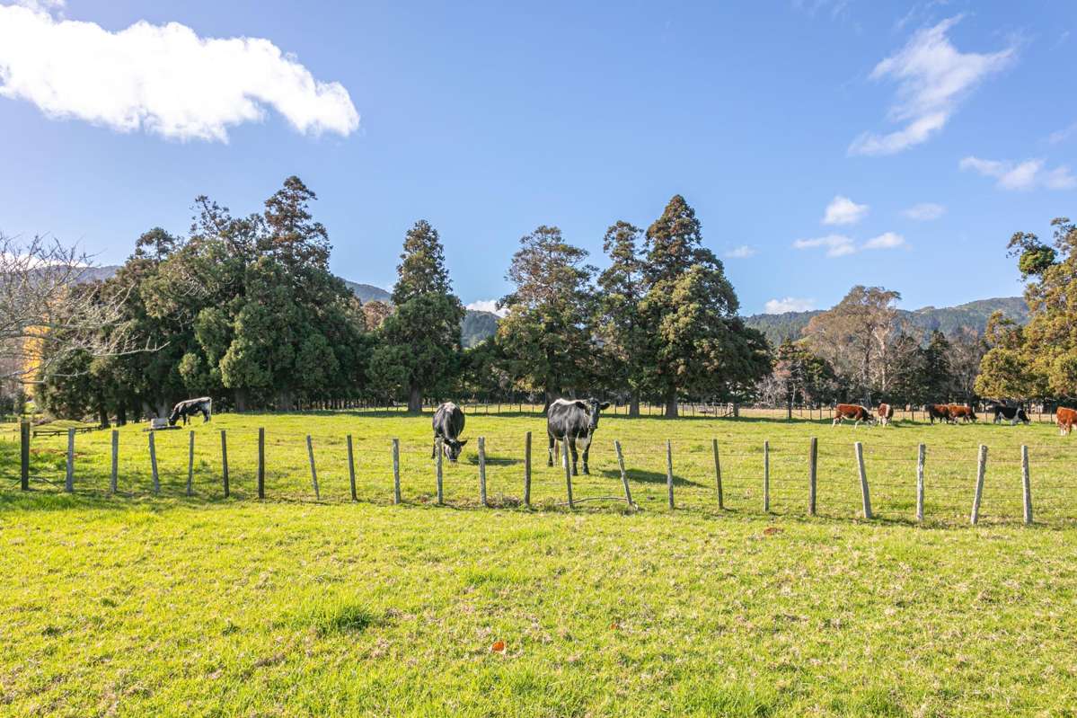 315 & 315A Woollams Avenue_0