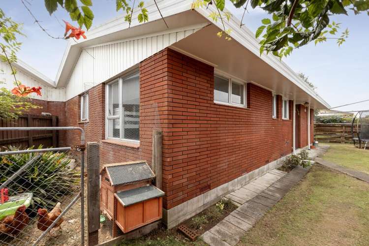 17b Chevron Drive Bellevue_12