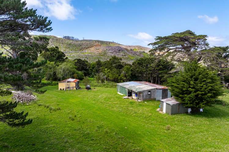 167 Summer Road Tinopai_24