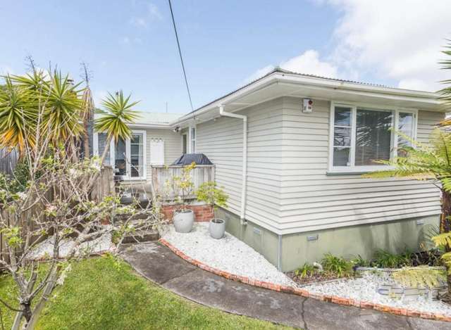 62 Webster Avenue Mount Roskill_3