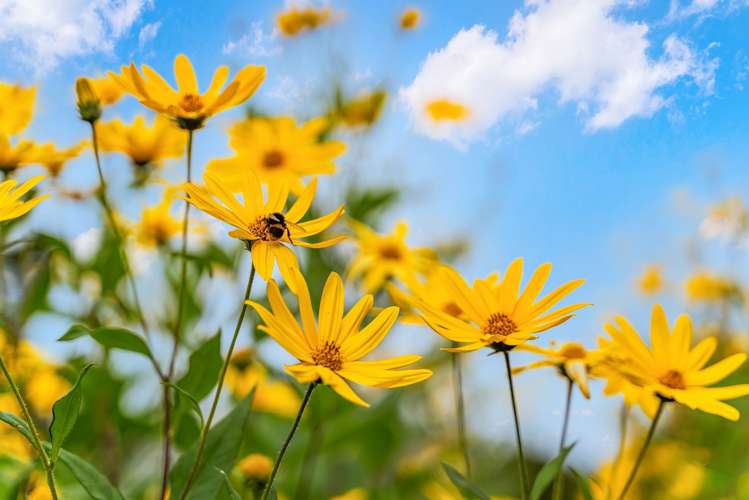 2080 State Highway 1 Hukerenui_23