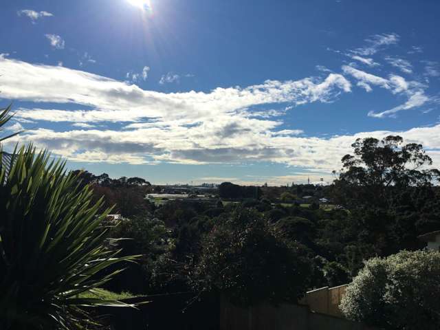 12/32 Blockhouse Bay Road Avondale_3