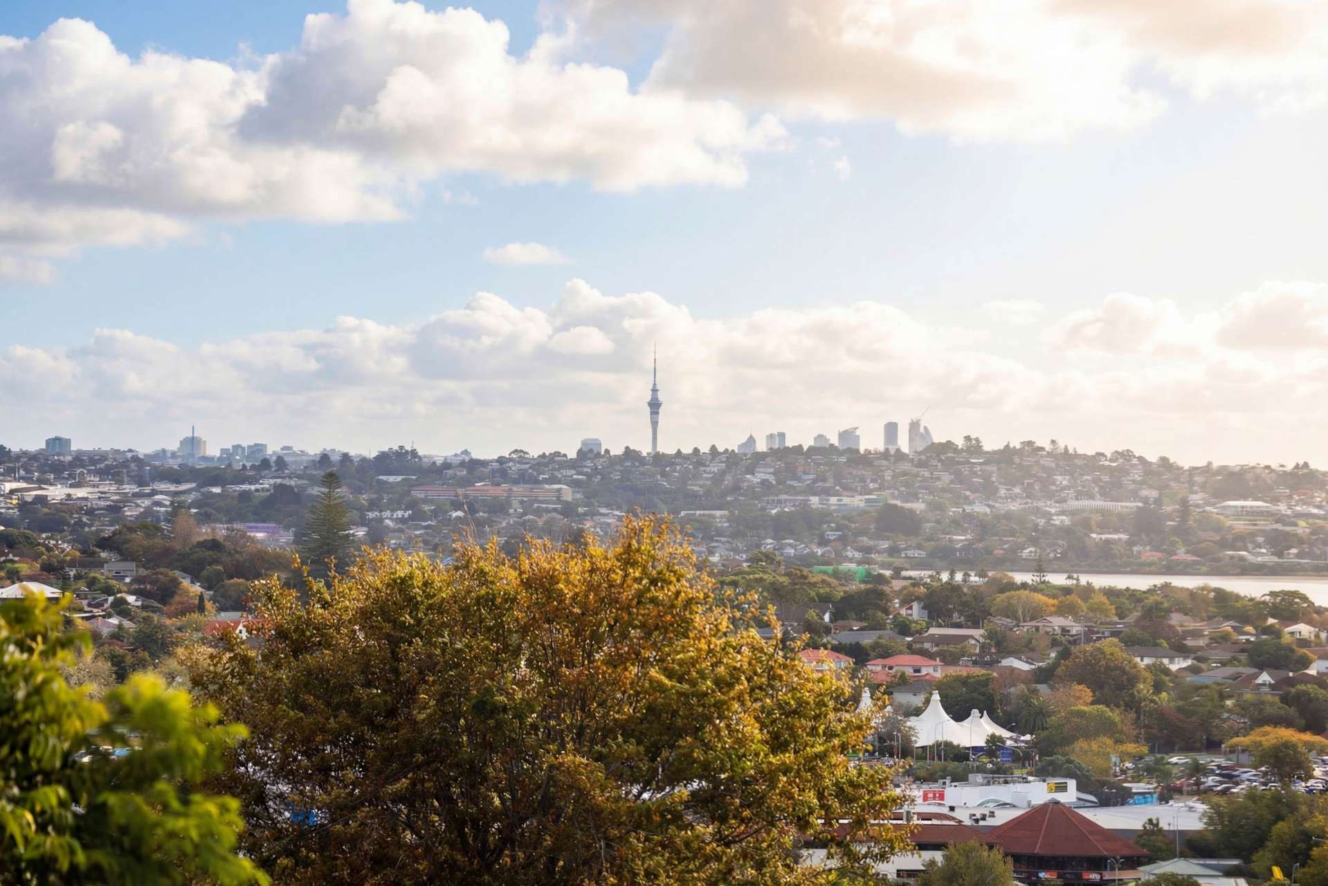 59B Highland Park Drive Highland Park_0