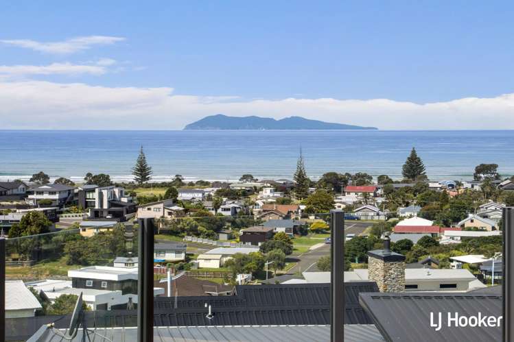 34 Tohora View_0