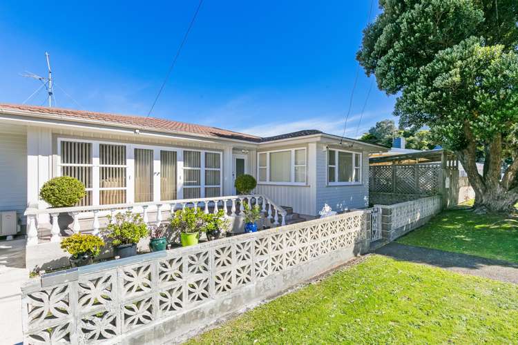 24 Camperdown Road Miramar_0