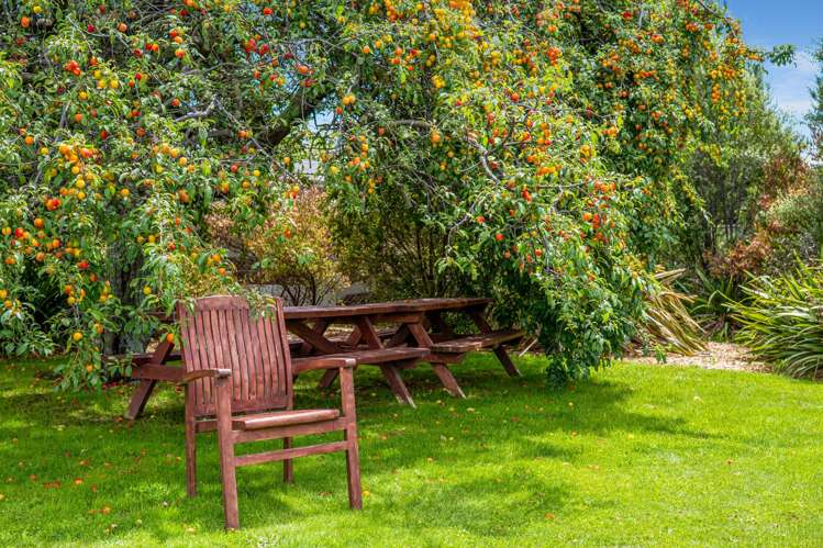 9 Mills Street Seddon_14