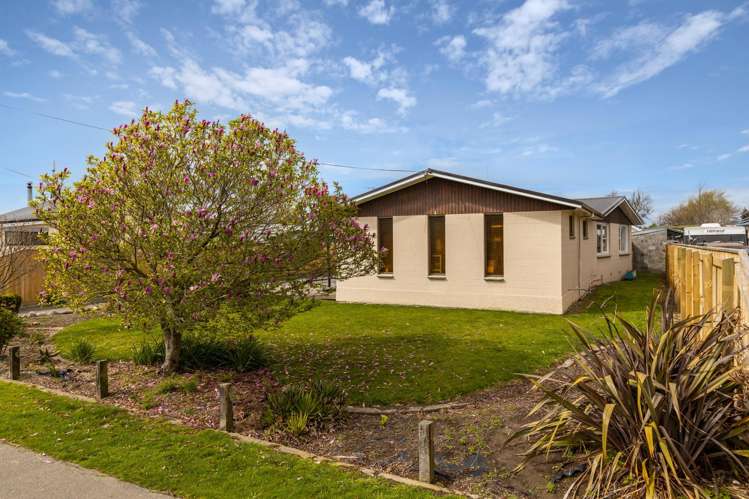 20B Alma Street Renwick_16